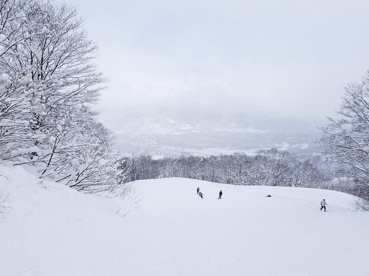 赤倉温泉スキー場の雪の山とゲレンデ