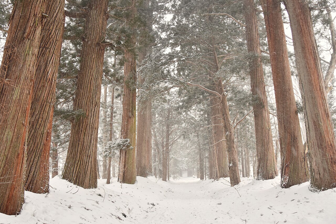 Togakushi Shrine in winter
