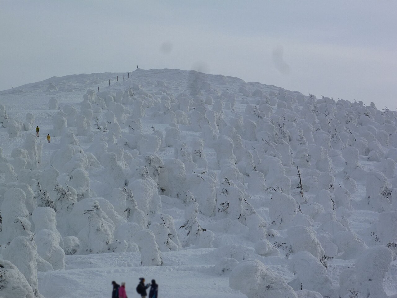 Mt.Zao(Mt.Jizo) Juhyo