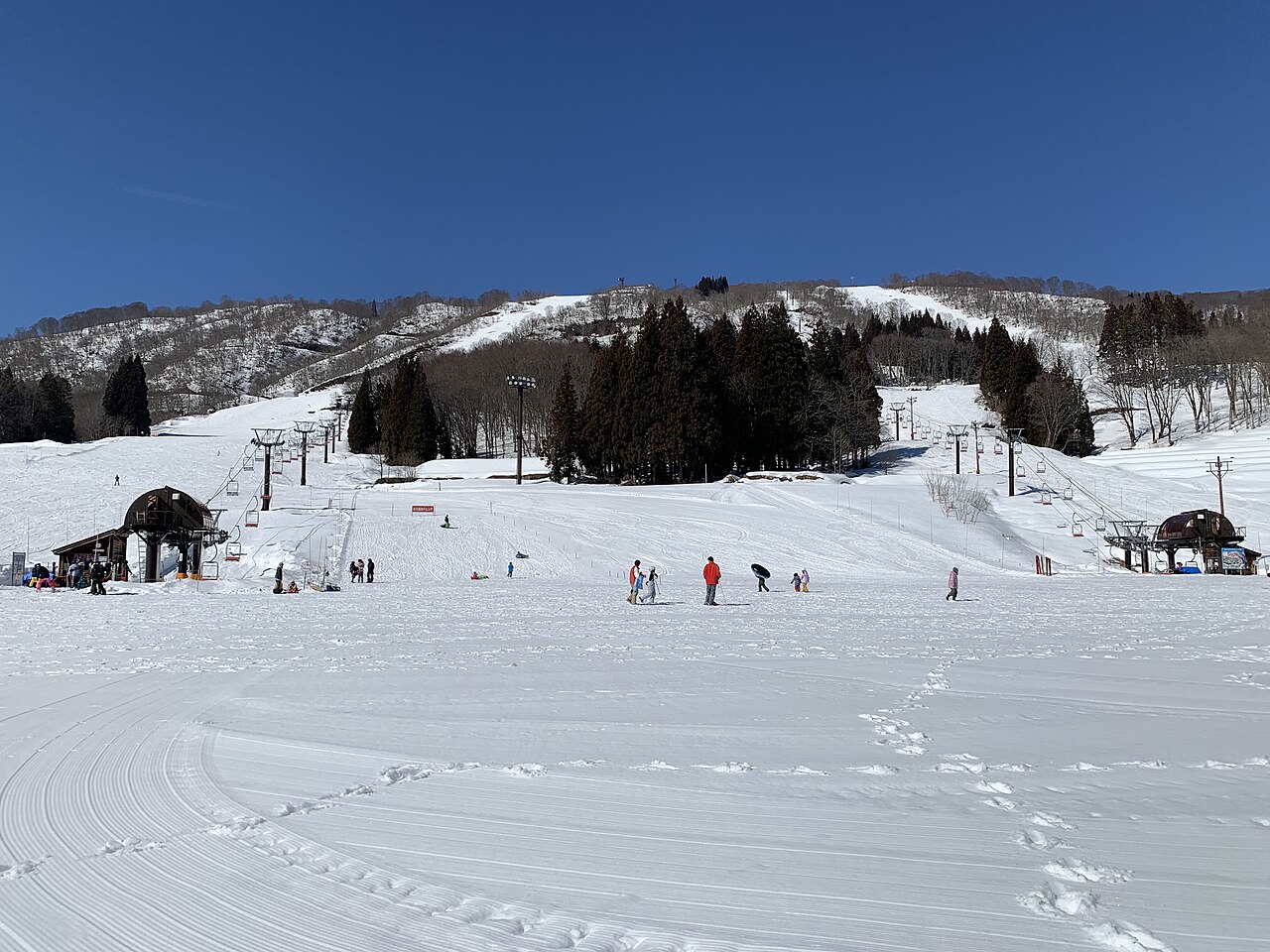 さかえ倶楽部スキー場の雪の山とゲレンデ