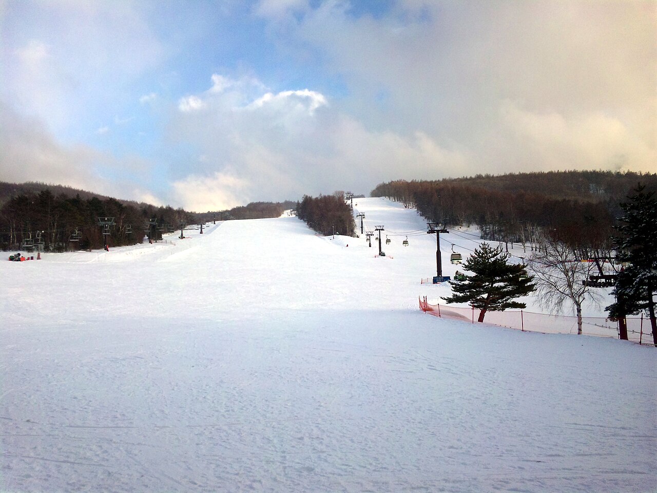 白樺高原国際スキー場の雪の山とゲレンデ