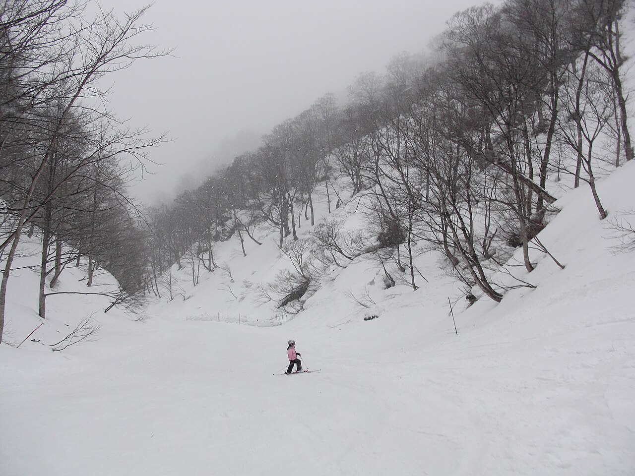 谷川岳天神平スキー場の雪の山とゲレンデ