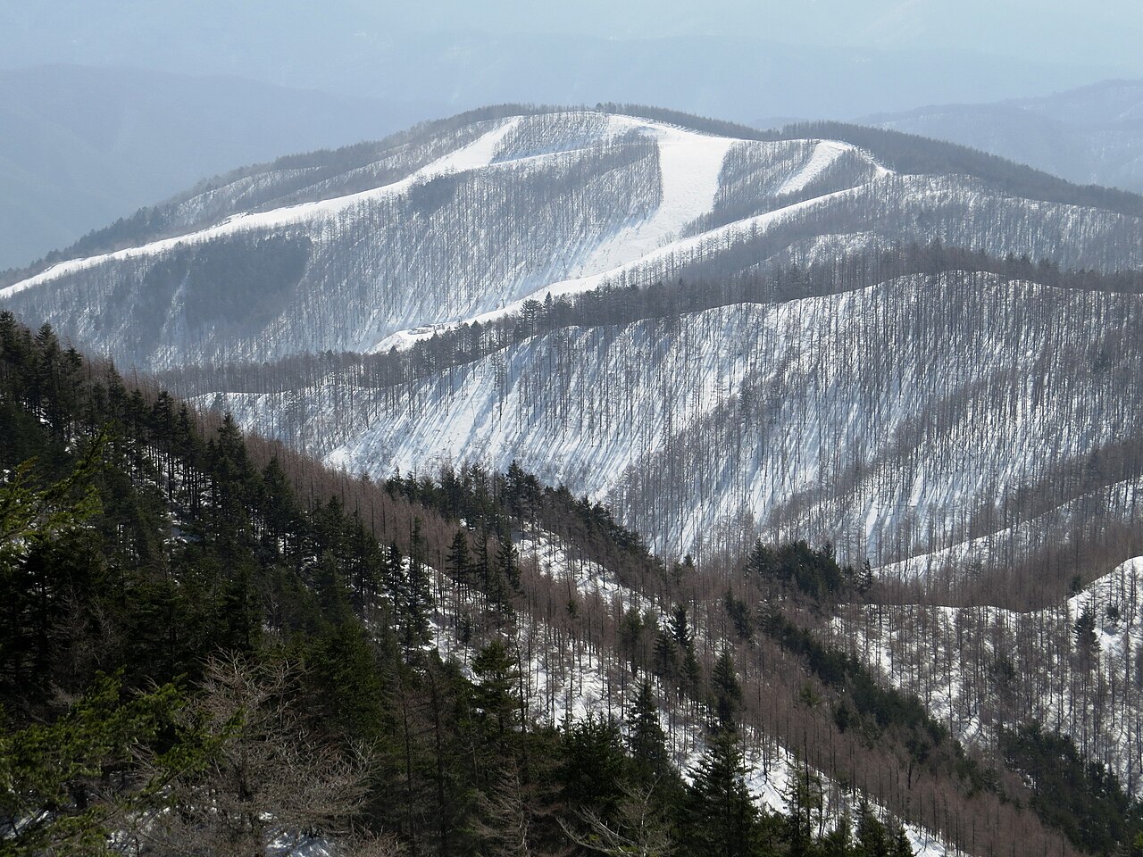 やぶはら高原 スキー場の雪の山とゲレンデ