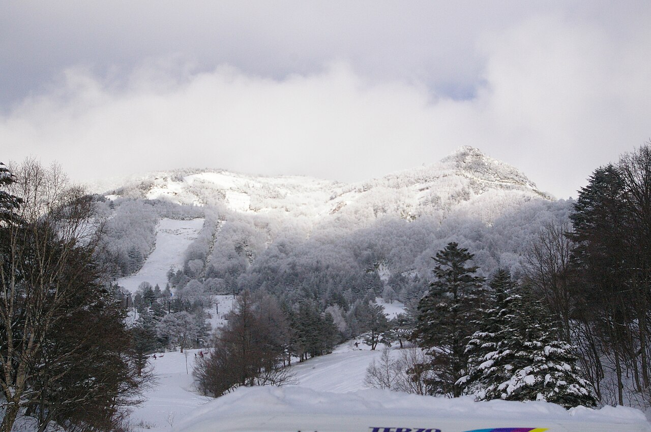 ヤマボクワイルドスノーパークの雪の山とゲレンデ