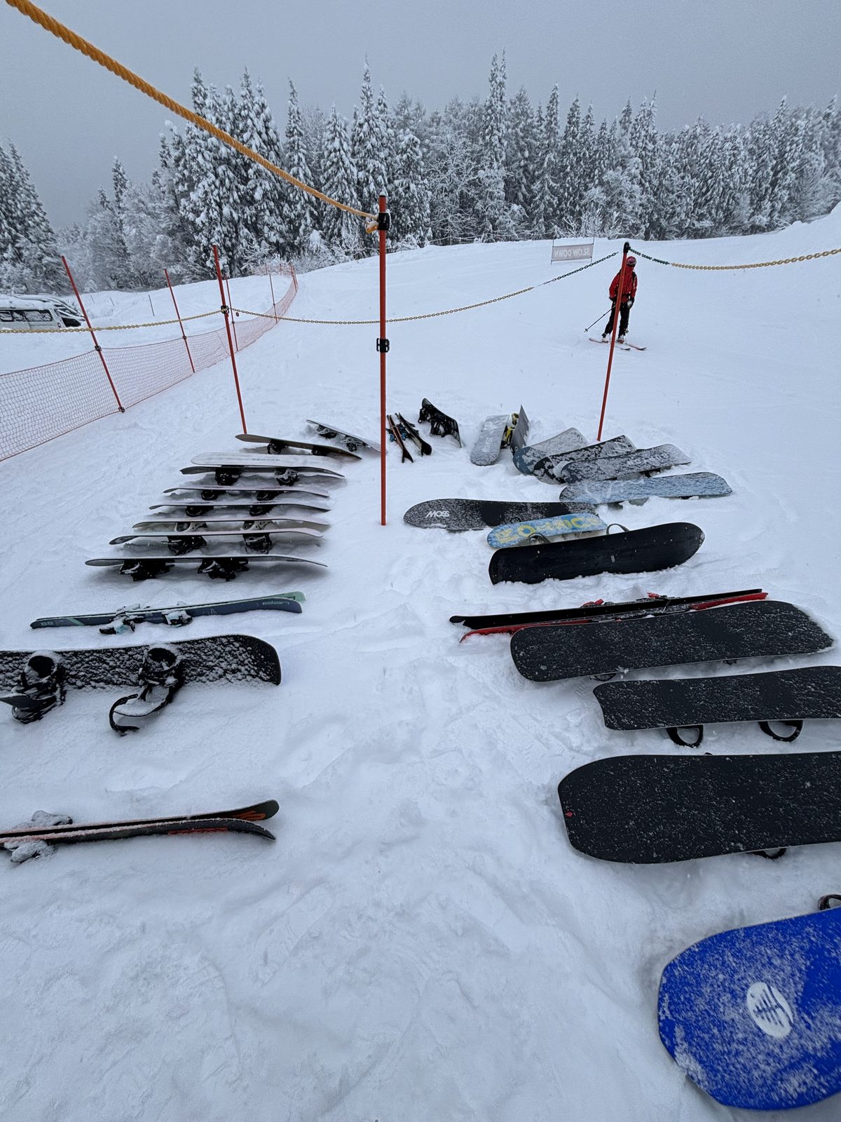 Snow-laden conifers and a row of snowboards standing in the snow