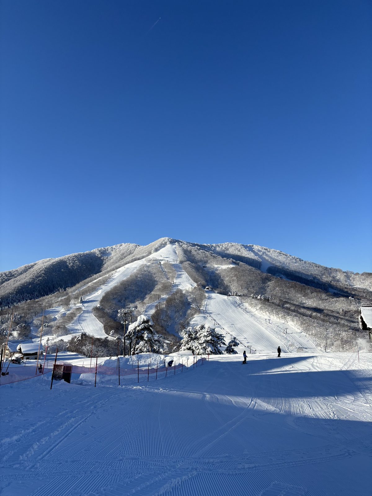 朝の整地されたゲレンデと雪の山、濃い青空