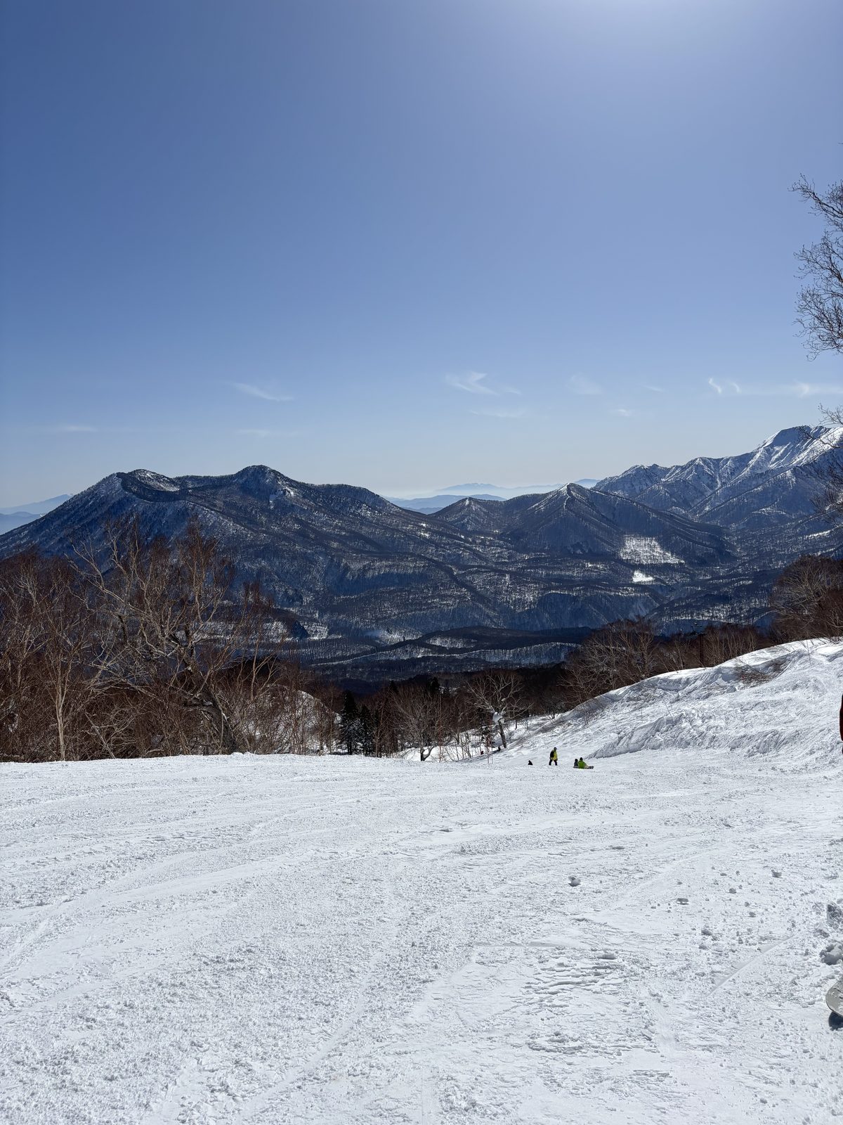 雪の斜面の先に広がる雪の山並みと白樺
