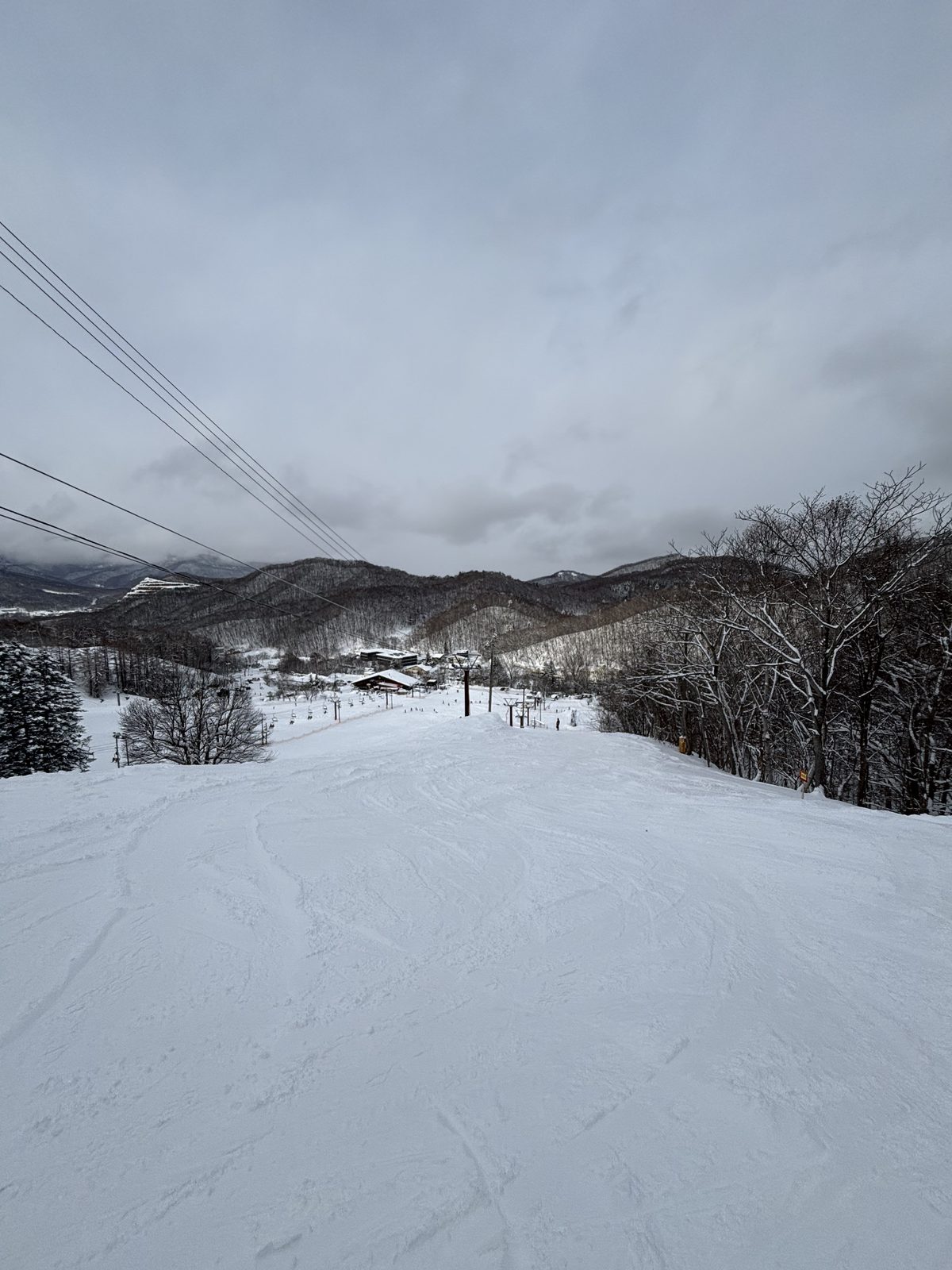 雪をかぶった広葉樹林と山並みの上に続く新雪のゲレンデ